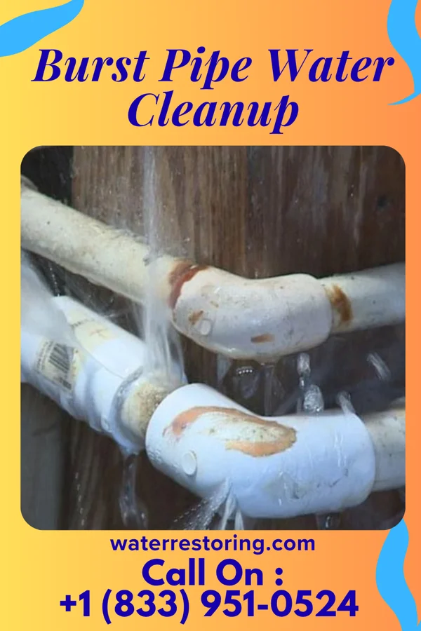 Burst Pipe Water Cleanup in Taylortown, NC