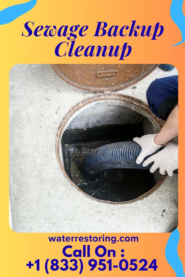 Sewage Backup Cleanup in Taylortown, NC